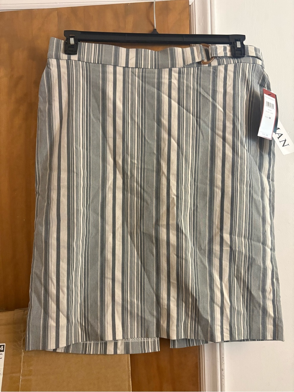Striped A-Line Skirt in Blue and White